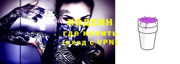 дмт Богданович