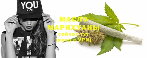 молекула духа Богородицк
