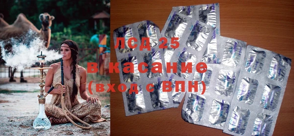 молекула духа Богородицк