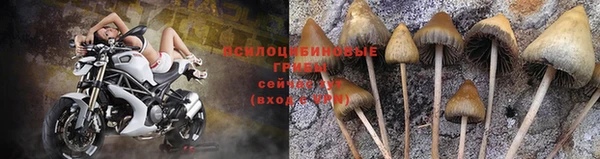 дживик Беломорск