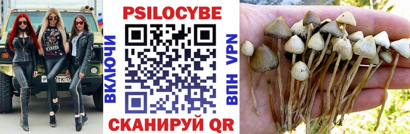 Псилоцибиновые грибы прущие грибы Болохово